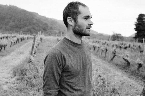 Martin Texier MDMA Maceration Muscat d'Alexandrie 2025