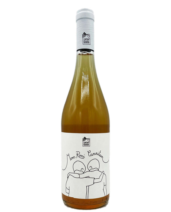 Cantina Giara Mons Roni Cannitum Puglia White 2020 - Wine Therapy NYC