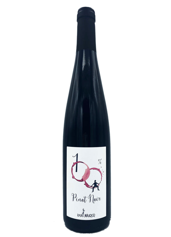 Louis Maurer Pinot Noir 2020 - Wine Therapy NYC