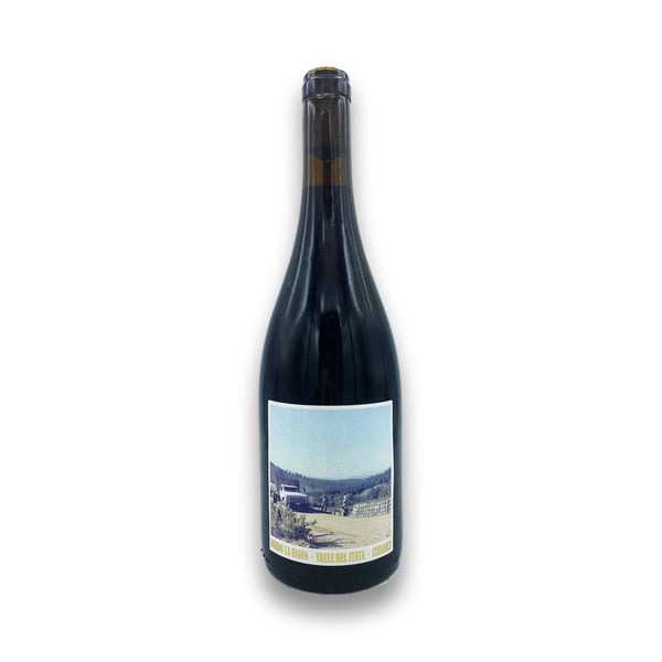 Roberto Henriquez Fundo la Union Cinsault 2021 Red Wine