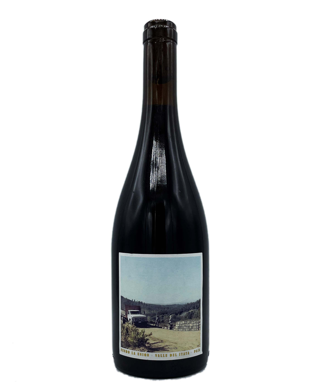 Roberto Henriquez Fundo la Union Pais 2020 - Wine Therapy NYC
