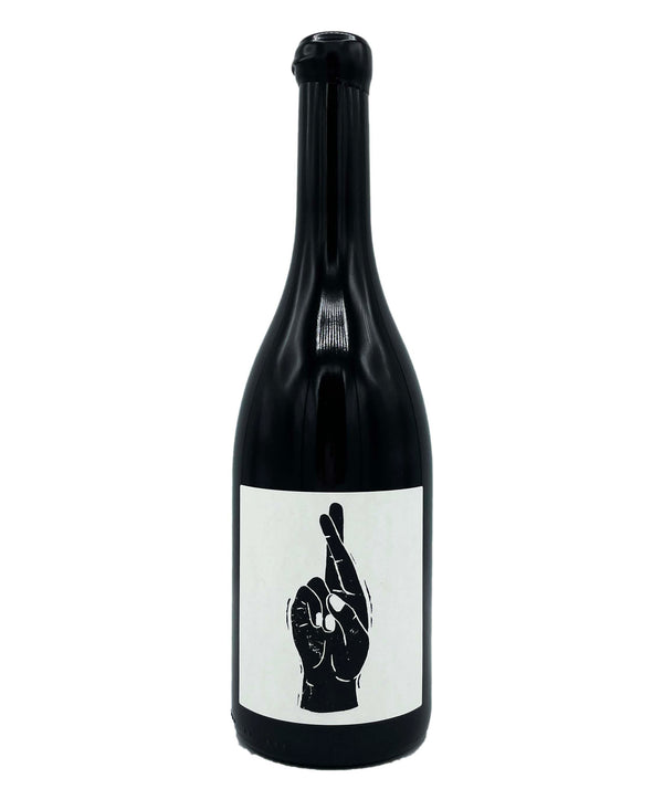 Vin Noe Julienas 2019 - Wine Therapy NYC