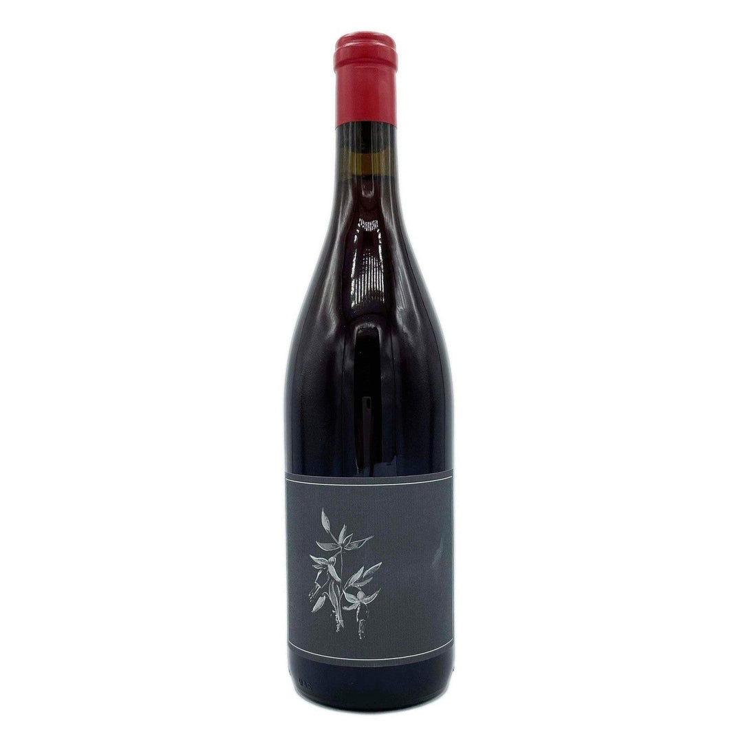 Arnot-Roberts Trousseau North Coast 2023 Red Wine